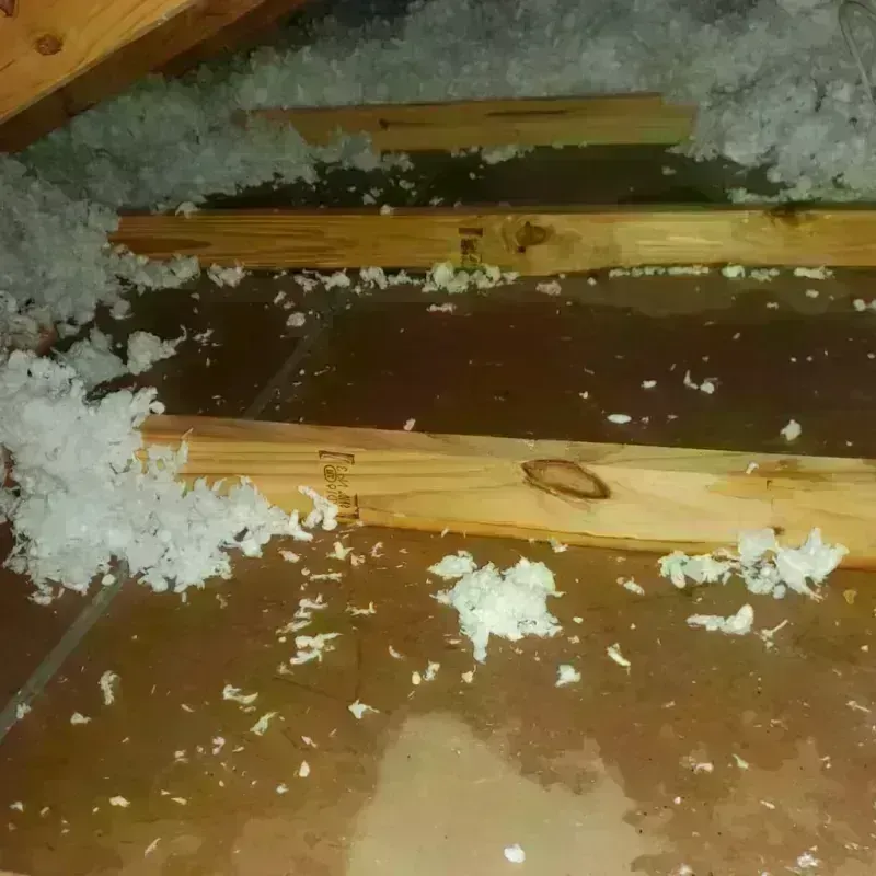 Attic Water Damage in Izard County, AR