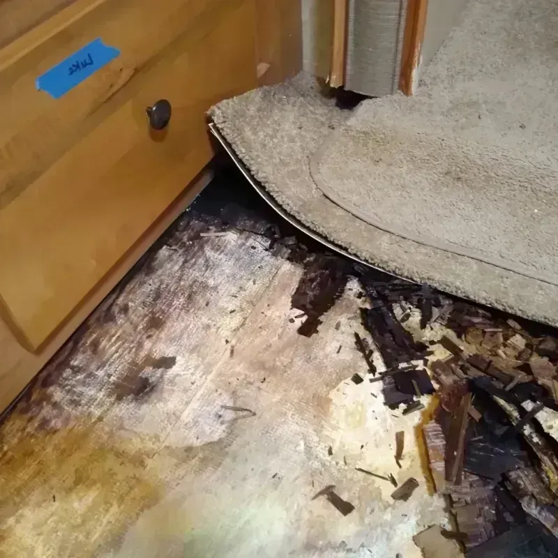 Best Wood Floor Water Damage Service in Izard County, AR